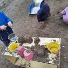IMG_20260414_231948_118.jpg