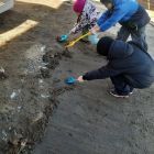 IMG_20260414_232041_265.jpg