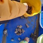 IMG_20260414_234254_178.jpg
