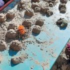 IMG_20260522_211844_790.jpg