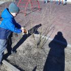 IMG_20260414_232126_701.jpg